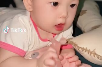 [🆕🇻🇳] Shop Bé Cơm 🧑‍🧒❤️️👶⭐️  , shares-17✔️ , likes-998❤️️ , date-2025-10-26 01:29:10🇻🇳🇻🇳🇻🇳📰🆕