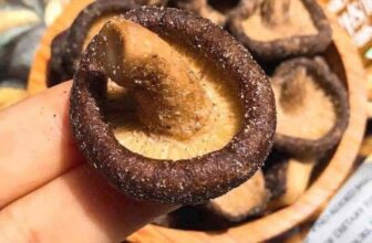 [🆕🇻🇳] Vân buôn mê- hạt bánh dinh dưỡng heath 🍔 Top1Food  🍜 Nấm sấy thăng hoa sz lớn e vè sẵn nha..
An ngon nhức luôn.
E sẵn ship nha
, shares-0✔️ , likes-2❤️️ , date-2025-10-19 18:46:11🇻🇳🇻🇳🇻🇳📰🆕