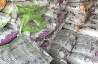 [🆕🇻🇳] Cát Vệ Sinh Cho Mèo Hải Phòng 🐶🦜 Top1Pets 🐱🐠 TỔNG KHO CÁT VỆ SINH CHO MÈO NATURAL WORLD  TẠI VIỆT NAMSản phẩm  cát đất sét NATURAL WORLD với các ưu điểm vượt trội:
KHÔNG bụi, KHÔNG bết đáy chậu.
SI , shares-0✔️ , likes-2❤️️ , date-2025-10-23 23:55:54🐶🐱🇻🇳🇻🇳🇻🇳📰🆕