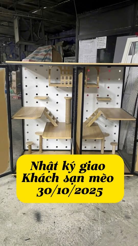 [🆕🇻🇳] Cat House – Khách Sạn Thú Cưng Số 1 Việt Nam 🐶🦜 Top1Pets 🐱🐠 Khách sạn mèo cathouse #cathouse #khachsanmeo #bietthumeo , shares-0✔️ , likes-0❤️️ , date-2025-10-30 23:29:33🐶🐱🇻🇳🇻🇳🇻🇳📰🆕