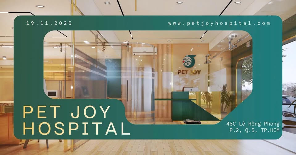 [🆕🇻🇳] Bệnh Viện Thú Y Pet Joy Hồ Chí Minh 🐶🦜 Top1Pets 🐱🐠  , shares-0✔️ , likes-0❤️️ , date-2025-11-20 22:56:44🐶🐱🇻🇳🇻🇳🇻🇳📰🆕