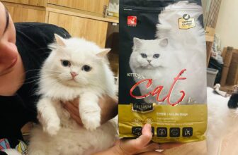 [🆕🇻🇳] Mướp Catnest – Khách sạn mèo, Pet Hotel 🐶🦜 Top1Pets 🐱🐠 Du học xinh nhà tôy đi chụp ảnh quảng cáo mà không cho tôy biết
Chị giấu kĩ quá, tôy chả biết gìiiiiiii
Đi chụp ảnh quảng cáo make up hơi đậm nha
, shares-0✔️ , likes-16❤️️ , date-2025-10-31 05:15:38🐶🐱🇻🇳🇻🇳🇻🇳📰🆕