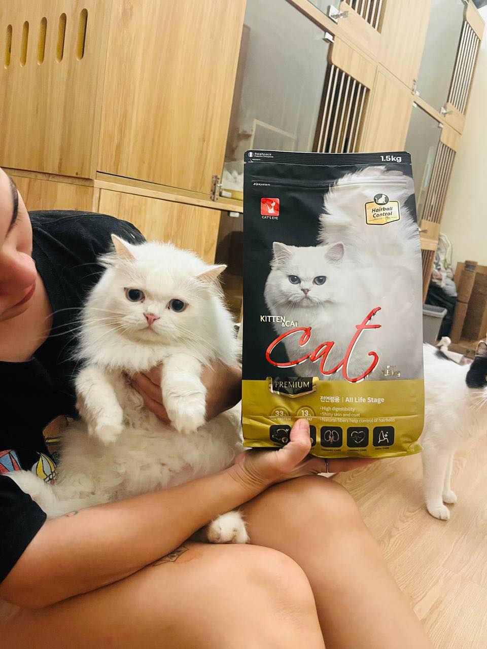 [🆕🇻🇳] Mướp Catnest – Khách sạn mèo, Pet Hotel 🐶🦜 Top1Pets 🐱🐠 Du học xinh nhà tôy đi chụp ảnh quảng cáo mà không cho tôy biết
Chị giấu kĩ quá, tôy chả biết gìiiiiiii
Đi chụp ảnh quảng cáo make up hơi đậm nha
, shares-0✔️ , likes-16❤️️ , date-2025-10-31 05:15:38🐶🐱🇻🇳🇻🇳🇻🇳📰🆕