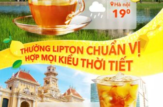 [🆕🇻🇳] Lipton Vietnam 🍻 Top1Drink 🥂  THƯỞNG LIPTON CHUẨN VỊ
HỢP MỌI KIỂU THỜI TIẾTBước qua tháng 11, tiết trời bắt đầu chuyển mình, mỗi miền lại khoác lên một sắc thái riêng: Bắc bộ se se l , shares-0✔️ , likes-3❤️️ , date-2025-11-02 02:00:11🇻🇳🇻🇳🇻🇳📰🆕