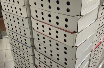 [🆕🇻🇳]  Baby Kids July  🧑‍🧒❤️️👶⭐️ HOT HOT
Pudding Burine về full vị date mới T7/2026
3 lốc chỉ 261k -> tính ra giá hời chỉ 87k/ lốc
Nhanh tay vợt các ba mẹ ơi
Tiktok:
, shares-0✔️ , likes-0❤️️ , date-2025-10-28 19:04:36🇻🇳🇻🇳🇻🇳📰🆕