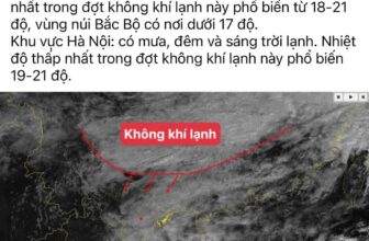 [🆕🇻🇳] LiTibaby Thanh Hóa – Thời trang trẻ em Việt 😎❤️️⭐️ Qua e shoping nha các bác
, shares-0✔️ , likes-1❤️️ , date-2025-10-30 19:33:45🇻🇳🇻🇳🇻🇳📰🆕