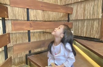 [🆕🇻🇳] Em Bé Là La – một cửa tiệm nhỏ,chúng mình bán quần áo,phụ kiện xinh xinh 🧑‍🧒❤️️👶⭐️ Leng keng! Leng keng!Mùa Giáng sinh này, nhà Em Bé Là La mang đến những bộ quần áo với sắc đỏ rực rỡ tượng trưng cho niềm vui và sự ấm áp, kết hợp với sắ , shares-0✔️ , likes-5❤️️ , date-2025-10-30 04:08:12🇻🇳🇻🇳🇻🇳📰🆕