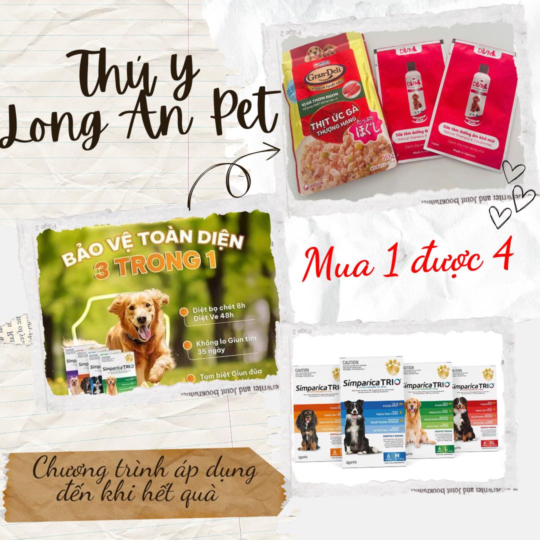 [🆕🇻🇳] Thú Y Long An Pet 🐶🦜 Top1Pets 🐱🐠  TRI ÂN KHÁCH HÀNG – NHẬN QUÀ SIÊU KHỦNG
Mua 1 viên Simparica Trio nhận ngay combo quà tặng siêu hấp dẫn từ Thú y Long An Pet
Ngoài ra, Chương trình tiêm , shares-0✔️ , likes-2❤️️ , date-2025-11-01 14:00:54🐶🐱🇻🇳🇻🇳🇻🇳📰🆕