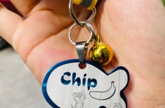 [🆕🇻🇳] Phụ Kiện Dành Cho Thú Cưng Chó-Mèo Thỏ 🐶🦜 Top1Pets 🐱🐠 Bình luận đã bị tắt cho bài viết này.
, shares-1✔️ , likes-1❤️️ , date-2025-11-01 15:42:50🐶🐱🇻🇳🇻🇳🇻🇳📰🆕