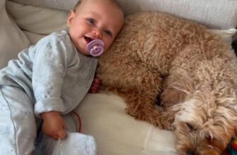 [🆕🇻🇳] Shop Bảo Bình thế giới mẹ và bé 🧑‍🧒❤️️👶⭐️  𝐓𝐢 𝐧𝐠𝐚̣̂𝐦 𝐁𝐢𝐛𝐬, 𝐜𝐡𝐚̆𝐦 𝐬𝐨́𝐜 𝐜𝐨𝐧 𝐲𝐞̂𝐮 𝐜𝐡𝐮 đ𝐚́𝐨 𝐧𝐡𝐮̛ 𝐯𝐨̀𝐧𝐠 𝐭𝐚𝐲 𝐜𝐮̉𝐚 𝐦𝐞̣!
Thay thế mẹ mỗi khi bé khóc, Bibs xứng đáng nhận được sự tin tưởng tuyệt đối từ mẹ  , shares-0✔️ , likes-0❤️️ , date-2025-11-05 00:31:52🇻🇳🇻🇳🇻🇳📰🆕