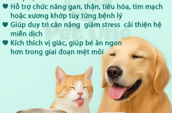 [🆕🇻🇳] Phòng Khám Thú Y Pet One  (CN Quận Tân Phú) 🐶🦜 Top1Pets 🐱🐠  𝐏𝐀𝐓𝐄 & 𝐇𝐀̣𝐓 𝐃𝐈𝐍𝐇 𝐃𝐔̛𝐎̛̃𝐍𝐆 – 𝐍𝐆𝐔̛𝐎̛̀𝐈 𝐁𝐀̣𝐍 Đ𝐎̂̀𝐍𝐆 𝐇𝐀̀𝐍𝐇 𝐂𝐔̉𝐀 𝐁𝐄́ 𝐓𝐑𝐎𝐍𝐆 𝐐𝐔𝐀́ 𝐓𝐑𝐈̀𝐍𝐇 Đ𝐈𝐄̂̀𝐔 𝐓𝐑𝐈̣ 𝐁𝐄̣̂𝐍𝐇Khi bé cưng đang điều trị bệnh, chế độ dinh dưỡng đ , shares-1✔️ , likes-13❤️️ , date-2025-11-05 00:04:40🐶🐱🇻🇳🇻🇳🇻🇳📰🆕