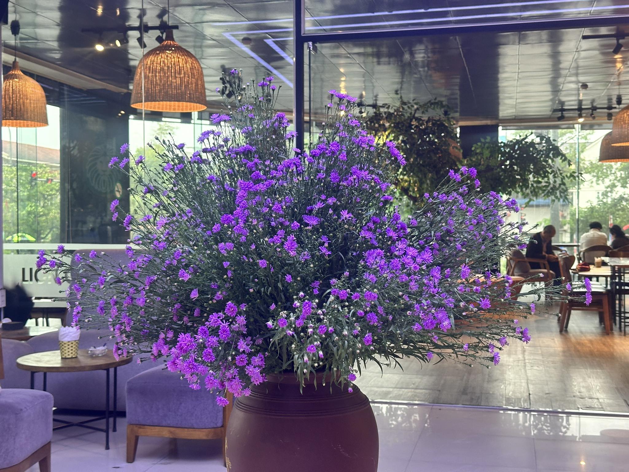 [☕️🇻🇳] Lion Coffee Nam Định 🥤 Top1Coffee ☕️ Chào ngày 3 tháng 11
, shares-0✔️ , likes-4❤️️ , date-2025-11-03 22:34:52🇻🇳🇻🇳🇻🇳📰🆕