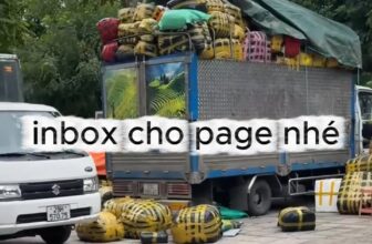 [🆕🇻🇳]  Tổng kho Hoàng Trí kids – 16 chợ Phú Điền 🧑‍🧒❤️️👶⭐️ Mùa đông lạnh rồi mà các shop chưa có hàng hot để bán, tìm nguồn hàng khó khăn? ib e ngay nhé , shares-0✔️ , likes-0❤️️ , date-2025-11-05 05:21:19🇻🇳🇻🇳🇻🇳📰🆕