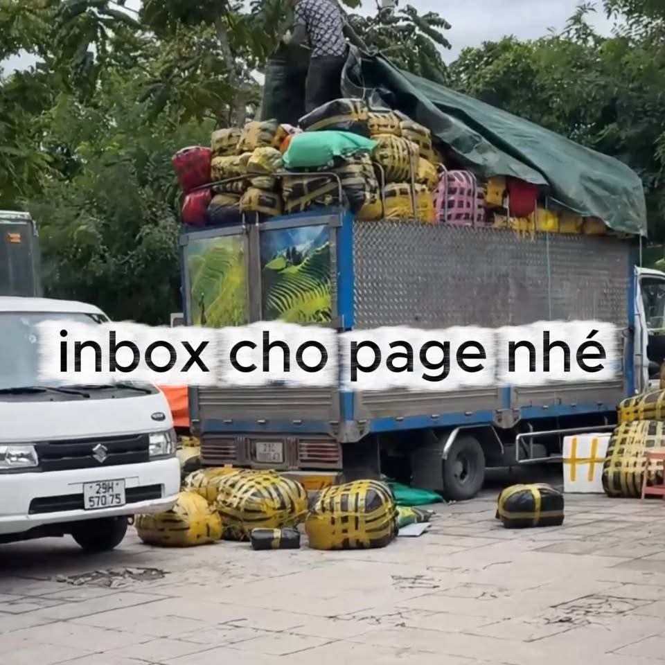 [🆕🇻🇳] Trâm Anh Baby Shop 🧑‍🧒❤️️👶⭐️ Full set cho bé ngựa 2026 ạ#đồthêu #bodythêuchobé
#thỏthêutên #jellycatthêutên
#thêutheoyêucầu #Balothêutên
#patchủithêutên #quàtặngđầytháng #sơsinh
#yế , shares-0✔️ , likes-0❤️️ , date-2025-10-15 13:11:20🇻🇳🇻🇳🇻🇳📰🆕