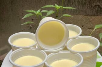 [🆕🇻🇳] Yaourt Phô Mai Đà Lạt – PomHouse 🍔 Top1Food  🍜 THỨ BA ĂN GÌ ĐÂY TAYaourt phô mai Vị truyền thống 100k/ lốc (10 hủ)
Yaourt phô mai Vị trái cây 110k/ lốc (10 hủ)
Yaourt phô mai Nếp cẩm 120k/ lốc (10 h , shares-0✔️ , likes-1❤️️ , date-2025-11-05 03:16:03🇻🇳🇻🇳🇻🇳📰🆕