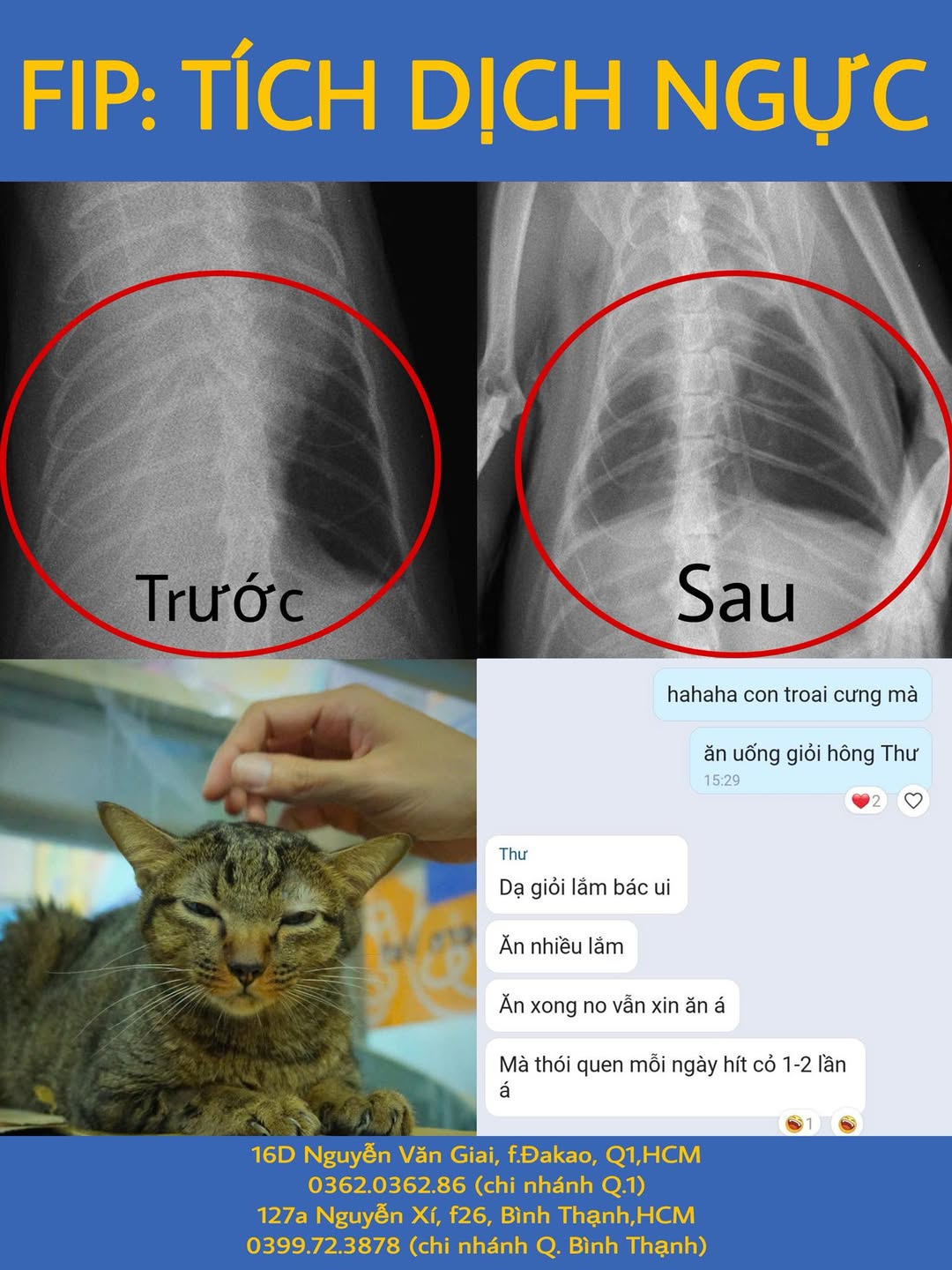 [🆕🇻🇳] Bệnh Viện Thú Y Modern Vet  (Modern Vet Hospital) 🐶🦜 Top1Pets 🐱🐠 FIP: TÍCH DỊCH NGỰCChột thở khó, sốt cao, khó chịu trong người nên được bame dẫn đến Modern Vet để khám.Qua khám lâm sàng kết hợp các phương pháp chẩ , shares-3✔️ , likes-20❤️️ , date-2025-11-12 22:39:22🐶🐱🇻🇳🇻🇳🇻🇳📰🆕