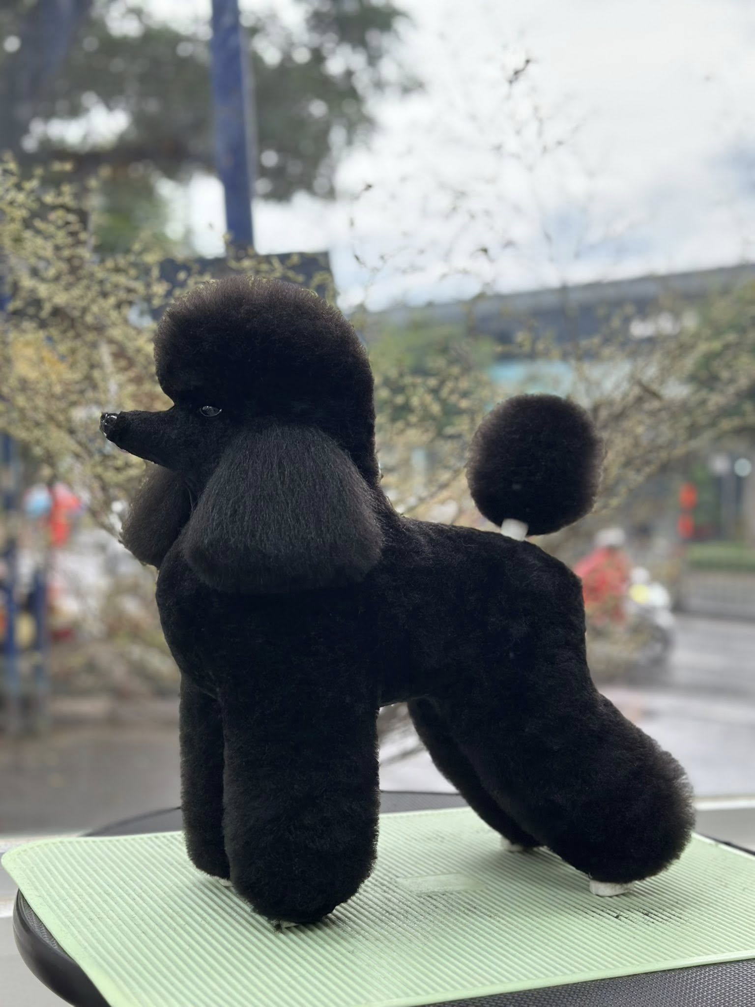 [🆕🇻🇳] Tiệm Thú Cưng Nhà Lúa – Hotel & Spa Cắt Tỉa Lông Thú Cưng Bình Dương 🐶🦜 Top1Pets 🐱🐠 “Mình k cần chiến thắng ai cả,
Chỉ cần chiến thắng chính mình ngày hôm qua là được”
#poodle_lamblip
#mỹhậunguyễn
#tiệmthúcưngnhàlúa
#myhaunguyen
, shares-0✔️ , likes-2❤️️ , date-2025-11-13 03:31:48🐶🐱🇻🇳🇻🇳🇻🇳📰🆕