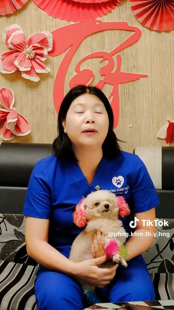 [🆕🇻🇳] PET SHOP Hương Nở II Bình Dương 🐶🦜 Top1Pets 🐱🐠 Đôi nét tự sự về lịch sử hình thành và phát triển qua 15 năm của Phòng khám Thú Y Hương Nở tại Thủ Dầu Một, Bình Dương cũ (TP. Hồ Chí Minh hiện tại).#thu , shares-6✔️ , likes-82❤️️ , date-2025-11-10 19:49:14🐶🐱🇻🇳🇻🇳🇻🇳📰🆕