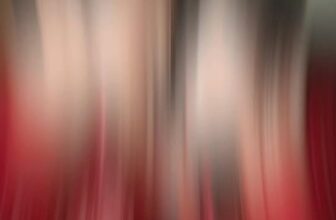 [🆕🇻🇳] Thời trang cưới Minzy Bridal 🤵🏻 Top1Wedding 👰🏻   , shares-0✔️ , likes-2❤️️ , date-2025-11-13 07:25:06🇻🇳🇻🇳🇻🇳📰🆕