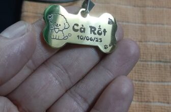 [🆕🇻🇳] Phụ Kiện Dành Cho Thú Cưng Chó-Mèo Thỏ 🐶🦜 Top1Pets 🐱🐠  , shares-0✔️ , likes-0❤️️ , date-2025-11-13 04:09:11🐶🐱🇻🇳🇻🇳🇻🇳📰🆕