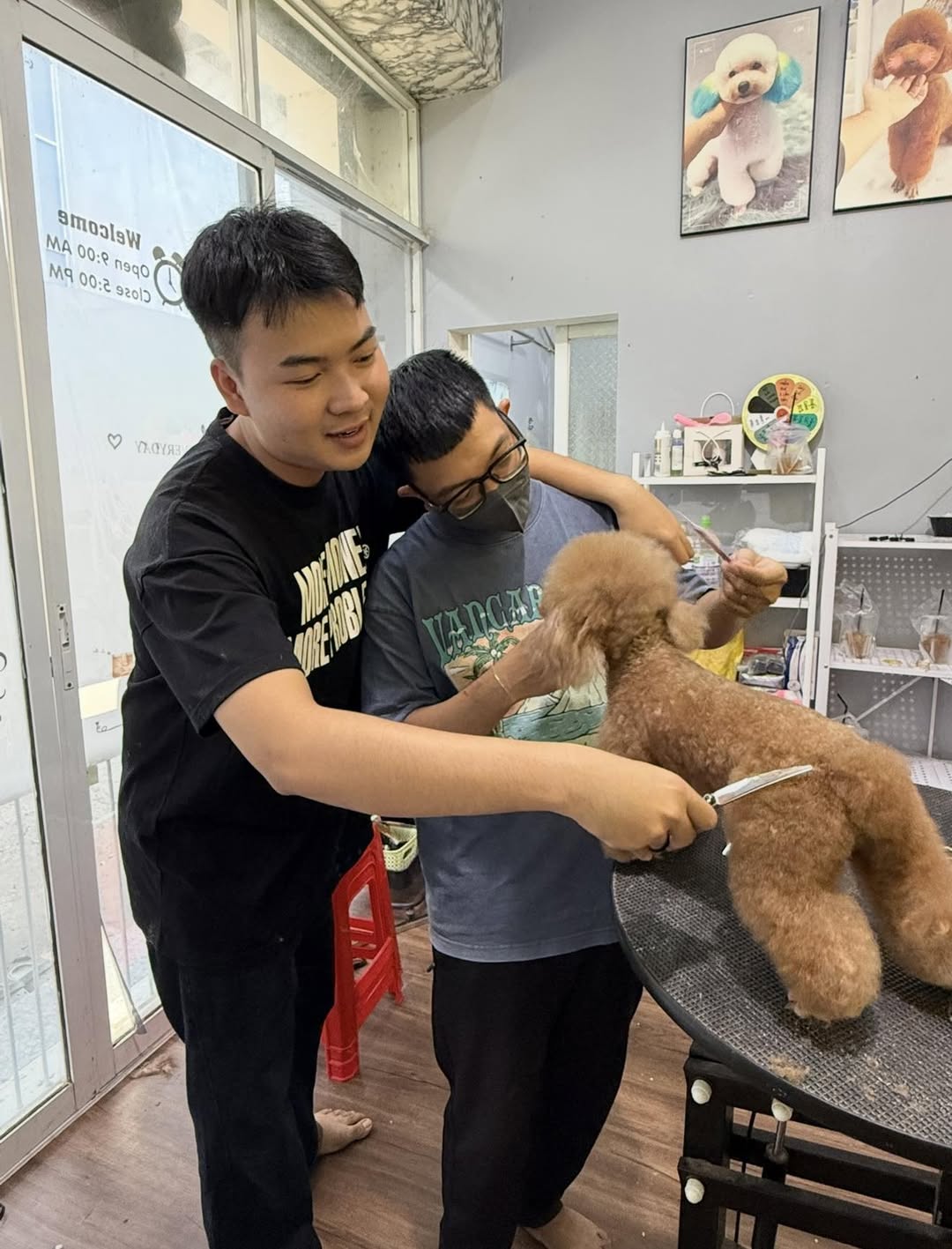 [🆕🇻🇳] YORSI – Pet Grooming 🐶🦜 Top1Pets 🐱🐠 𝐇𝐈𝐆𝐇 𝐐𝐔𝐀𝐋𝐈𝐓𝐘  Cục vàng Bichon tại nhà YORSI Bichon House𝐆𝐢ố𝐧𝐠:  Bichon
𝐆𝐢ớ𝐢 𝐭í𝐧𝐡: Male
𝐓𝐮ổ𝐢: 3 Tháng
Đã tiêm vaccine, tẩy giun đầy đủ
Có sổ sức khỏe  , shares-0✔️ , likes-0❤️️ , date-2025-11-15 06:49:39🐶🐱🇻🇳🇻🇳🇻🇳📰🆕