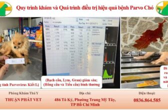 [🆕🇻🇳] Phòng Khám Thú Y Thuận Phát Vet 🐶🦜 Top1Pets 🐱🐠 Bệnh truyền nhiễm ở chó Parvovirus ( bệnh kiết lỵ) nôn nhiều , tiêu ra máu. Thường mắc phải khi bé cún dưới 1,5 năm tuổi, vaccin tiêm chưa đầy đủ, lây nhiễ , shares-0✔️ , likes-4❤️️ , date-2025-11-17 16:57:31🐶🐱🇻🇳🇻🇳🇻🇳📰🆕