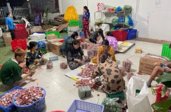 [🆕🇻🇳] Nem Lai Vung Hồng Vy  (Nhà Phân Phối) 🍔 Top1Food  🍜 Nem Lai Vung Bên em có Thương Hiệu Lâu Năm nên mọi người an tâm về phần chất lượng ạ
, shares-2✔️ , likes-3❤️️ , date-2025-11-18 04:53:09🇻🇳🇻🇳🇻🇳📰🆕