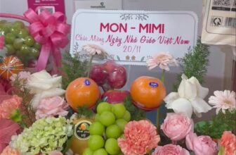 [🆕🇻🇳] TH Fruit – Chuyên Trái Cây Nhập Khẩu Cao Cấp 🍔 Top1Food  🍜 Sẵn sàng cho ngày 20/11 , shares-0✔️ , likes-6❤️️ , date-2025-11-20 04:32:41🇻🇳🇻🇳🇻🇳📰🆕