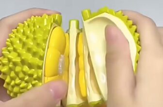 [🧸️🇻🇳] Chuyên sỉ , lẻ đồ chơi cân ký cho bé 🎈Top1Toys🧸️  Đồ chơi cắt bóc tách sầu riêng mô phỏng như thật
Quan tâm ib , shares-0✔️ , likes-4❤️️ , date-2025-11-18 01:48:29🇻🇳🇻🇳🇻🇳📰🆕