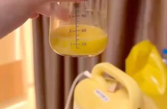 [🆕🇻🇳]  Baby Finest Vietnam – The first professional breastmilk freeze-drying service in Vietnam 🧑‍🧒❤️️👶⭐️  𝐌𝐨̂̃𝐢 𝐠𝐢𝐨̣𝐭 𝐬𝐮̛̃𝐚 𝐧𝐨𝐧 𝐛𝐚𝐨 𝐩𝐡𝐮̉ đ𝐮̛𝐨̛̀𝐧𝐠 𝐫𝐮𝐨̣̂𝐭 𝐜𝐮̉𝐚 𝐛𝐞́ 𝐧𝐡𝐮̛ 𝐦𝐨̣̂𝐭 𝐥𝐨̛́𝐩 𝐚́𝐨 𝐠𝐢𝐚́𝐩, 𝐝𝐚̣𝐲 𝐡𝐞̣̂ 𝐦𝐢𝐞̂̃𝐧 𝐝𝐢̣𝐜𝐡 𝐜𝐮̉𝐚 𝐛𝐞́ 𝐜𝐚́𝐜𝐡 𝐜𝐡𝐢𝐞̂́𝐧 đ𝐚̂́𝐮, 𝐜𝐡𝐮̛̃𝐚 𝐥𝐚̀𝐧𝐡 𝐯𝐚̀  , shares-0✔️ , likes-5❤️️ , date-2025-11-19 15:33:31🇻🇳🇻🇳🇻🇳📰🆕