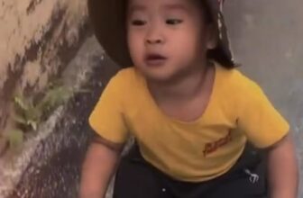 [🧸️🇻🇳] Thanh lý, mua bán xe điện cũ, mới cho bé toàn quốc 🎈Top1Toys🧸️  Mẫu mới có cả tiến lùi cho bé , shares-0✔️ , likes-3❤️️ , date-2025-11-21 15:49:48🇻🇳🇻🇳🇻🇳📰🆕