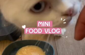 [🆕🇻🇳] Tran pet – Dịch vụ thú cưng 🐶🦜 Top1Pets 🐱🐠  HOTEL TRANPET – KHÁCH SẠN THÚ CƯNG CHUẨN SẠCH – AN TOÀN – ẤM ÁP NHƯ NHÀĐi vắng không lo – đã có TranPet chăm lo từng bữa từng giấc cho boss yêu!⸻, shares-0✔️ , likes-1❤️️ , date-2025-11-17 02:06:49🐶🐱🇻🇳🇻🇳🇻🇳📰🆕