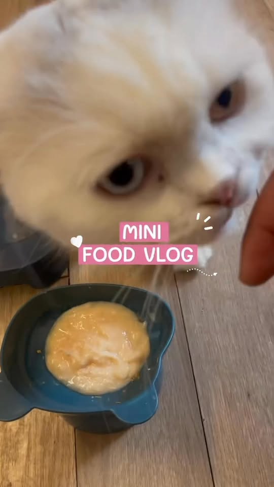 [🆕🇻🇳] Tran pet – Dịch vụ thú cưng 🐶🦜 Top1Pets 🐱🐠  HOTEL TRANPET – KHÁCH SẠN THÚ CƯNG CHUẨN SẠCH – AN TOÀN – ẤM ÁP NHƯ NHÀĐi vắng không lo – đã có TranPet chăm lo từng bữa từng giấc cho boss yêu!⸻, shares-0✔️ , likes-1❤️️ , date-2025-11-17 02:06:49🐶🐱🇻🇳🇻🇳🇻🇳📰🆕