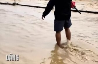 [🆕🇻🇳] The Cattitude – Homemade Pet Food 🐶🦜 Top1Pets 🐱🐠 TỤI MÌNH CHÍNH THỨC OFF ĐƠNCảm ơn lời hỏi thăm và động viên của các sen, tiệm xin phép off đơn di chuyển về quê nhà để cứu trợ gia đình và mọi người
Hi v , shares-0✔️ , likes-9❤️️ , date-2025-11-21 17:13:58🐶🐱🇻🇳🇻🇳🇻🇳📰🆕