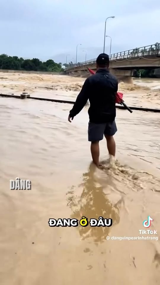 [🆕🇻🇳] The Cattitude – Homemade Pet Food 🐶🦜 Top1Pets 🐱🐠 TỤI MÌNH CHÍNH THỨC OFF ĐƠNCảm ơn lời hỏi thăm và động viên của các sen, tiệm xin phép off đơn di chuyển về quê nhà để cứu trợ gia đình và mọi người
Hi v , shares-0✔️ , likes-9❤️️ , date-2025-11-21 17:13:58🐶🐱🇻🇳🇻🇳🇻🇳📰🆕