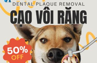 [🆕🇻🇳] ASIA PET Hospital 🐶🦜 Top1Pets 🐱🐠  GIẢM GIÁ 50% – LẤY CAO RĂNG CHUYÊN SÂU CHO THÚ CƯNG
Bảo vệ nụ cười – Bảo vệ sức khỏe thú cưng ngay hôm nay!Bạn có biết rằng hơn 70% thú cưng trên 3 tu , shares-13✔️ , likes-76❤️️ , date-2025-11-18 16:26:47🐶🐱🇻🇳🇻🇳🇻🇳📰🆕