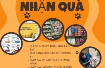 [🆕🇻🇳] Phòng Khám Thú Y BẮC NINH 🐶🦜 Top1Pets 🐱🐠 Chương trình tri ân khách hàng Tháng 11.
Check in ngay, nhận quà liền tay.
Miễn phí một số dịch vụ.
Giảm giá tới 50% một số các dịch vụ: Xét nghiệm, tr , shares-1✔️ , likes-7❤️️ , date-2025-11-19 23:25:59🐶🐱🇻🇳🇻🇳🇻🇳📰🆕