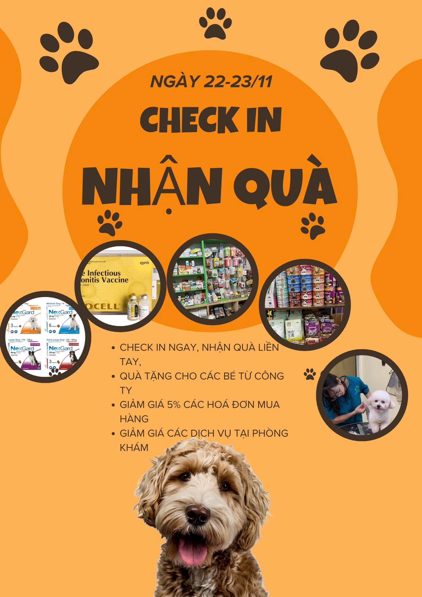 [🆕🇻🇳] Bệnh viện thú cưng Tispet Quy Nhơn 🐶🦜 Top1Pets 🐱🐠 Phẩu thuật, điều trị cho bạn cún bị tai nạn lòi nhãn cầu! #bácsĩthúytậnnơi #cácbossđithiến #thuytainhabinhdinh #thuytispet #Thú_y_Quy_Nhơn #triệtsảnkhôngđá , shares-0✔️ , likes-5❤️️ , date-2025-11-30 19:02:35🐶🐱🇻🇳🇻🇳🇻🇳📰🆕