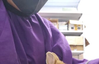 [🆕🇻🇳] Loppy Pet’s Home 🐶🦜 Top1Pets 🐱🐠 22h30 đêm, khách gọi khóc lóc, hoảng sợ vì bị thỏ đánh đập, b@o h@nh  Loppy rất đồng cảm nhưng cũng rất buồn cười
, shares-10✔️ , likes-272❤️️ , date-2025-11-19 18:21:26🐶🐱🇻🇳🇻🇳🇻🇳📰🆕