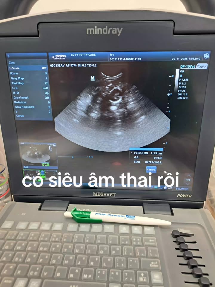 [🆕🇻🇳] Bệnh Viện Thú Y Petty Care – Spa & Pet Shop 🐶🦜 Top1Pets 🐱🐠  , shares-0✔️ , likes-2❤️️ , date-2025-11-23 02:25:29🐶🐱🇻🇳🇻🇳🇻🇳📰🆕