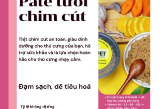 [🆕🇻🇳] PATE TƯƠI KIM PET 🐶🦜 Top1Pets 🐱🐠 Pate Tươi Chim Cút – Đạm Trắng Siêu Lành Cho Bé Nhạy Cảm99.99% không gây dị ứng – lựa chọn số 1 cho thú cưng da nhạy, dễ nổi mẩn, dễ ngứa.Thịt chim cút , shares-0✔️ , likes-1❤️️ , date-2025-11-22 23:59:44🐶🐱🇻🇳🇻🇳🇻🇳📰🆕