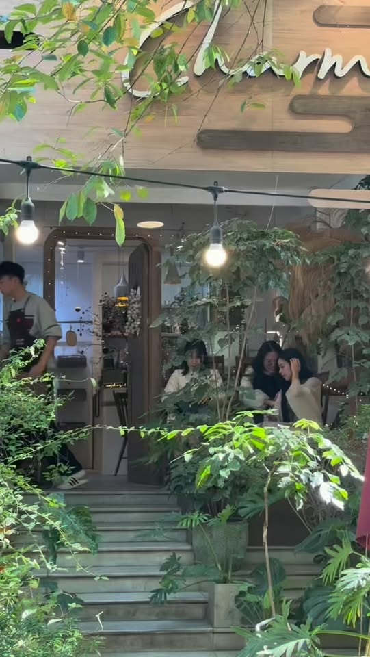 [☕️🇻🇳] Anaiis Concept – Café 🥤 Top1Coffee ☕️ và ta hiểu, tuổi này rồi cùng hiểu
chớp mắt thôi đã thấy quá nửa đời
thì cớ gì phí vài thời trong đó
để ghét hờn căm giận một xa , shares-1✔️ , likes-7❤️️ , date-2025-11-25 02:25:24🇻🇳🇻🇳🇻🇳📰🆕