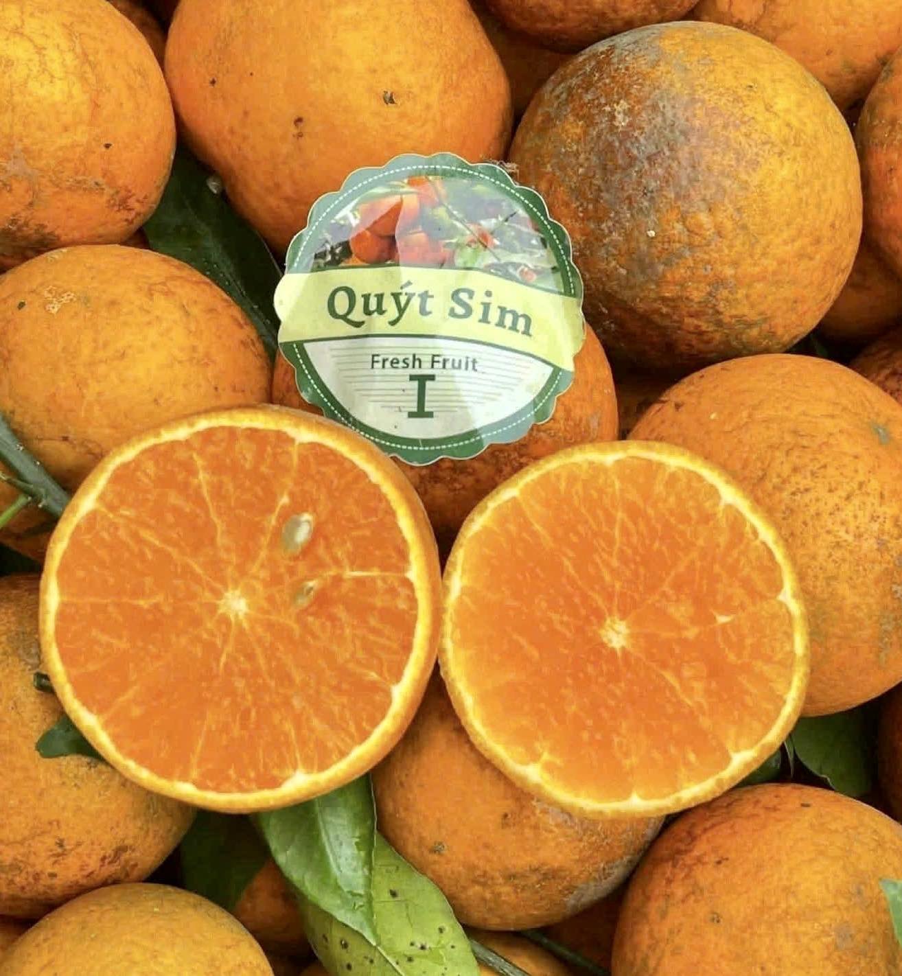 [🆕🇻🇳] 𝐅𝐚𝐥𝐜𝐨𝐧 𝐦𝐨𝐨𝐧 𝐲𝐨𝐠a – YOGA TRỊ LIỆU – YOGA CƠ BẢN – YOGA CHUYÊN SÂU – PILATES – ZUMBA 🧘 Top1Yoga 🤸🏻‍♀️  Yoga chào mặt trời là một trong những bài tập cơ bản, nếu bạn tập luyện mỗi ngày, bạn có thể đạt được nhiều lợi ích về mặt thể chất lẫn tinh thần như:
Tă , shares-0✔️ , likes-12❤️️ , date-2025-11-29 05:37:26🇻🇳🇻🇳🇻🇳📰🆕