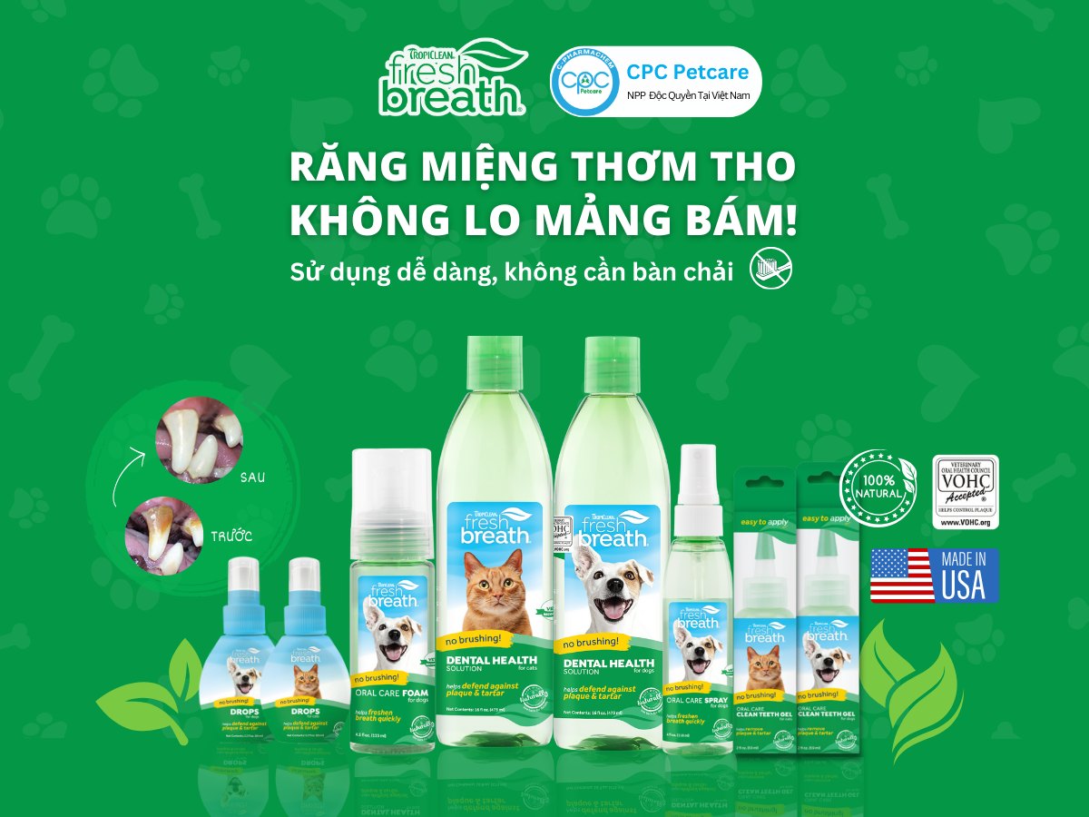 [🆕🇻🇳] Tropiclean Việt Nam –  Sản phẩm chăm sóc thú cưng số 1 tại Mỹ 🐶🦜 Top1Pets 🐱🐠 BỘ 3 TROPICLEAN – RĂNG MIỆNG THƠM THO – KHÔNG LO MẢNG BÁM!Hơi thở của bé cưng luôn là vấn đề đau đầu mà ba mẹ thường gặp. Không chỉ đơn giản là mùi thú , shares-0✔️ , likes-2❤️️ , date-2025-11-23 05:00:17🐶🐱🇻🇳🇻🇳🇻🇳📰🆕