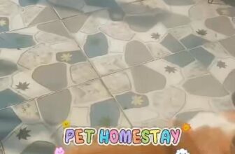 [🆕🇻🇳] Mira Petshop – Cắt tỉa lông, trông giữ thú cưng – Đào tạo Học viên Quận 7 🐶🦜 Top1Pets 🐱🐠 MIRA PET HOMESTAYBA MẸ YÊN TÂM DU LỊCHỞ NHÀ MIRA , BOSS  CHỈ ĂN RỒI CHƠI, CHƠI RỒI NGỦ RỒI CHƠI THÔI NÀ———————————————————-M  I  R  A   PET SALO , shares-0✔️ , likes-0❤️️ , date-2025-11-25 17:28:01🐶🐱🇻🇳🇻🇳🇻🇳📰🆕