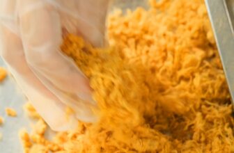 [🆕🇻🇳] Cơm Cháy Bếp Cô Như – Ăn vặt SÀNH ĐIỆU cùng bếp cô Như 🍔 Top1Food  🍜  , shares-0✔️ , likes-15❤️️ , date-2025-11-24 06:07:56🇻🇳🇻🇳🇻🇳📰🆕