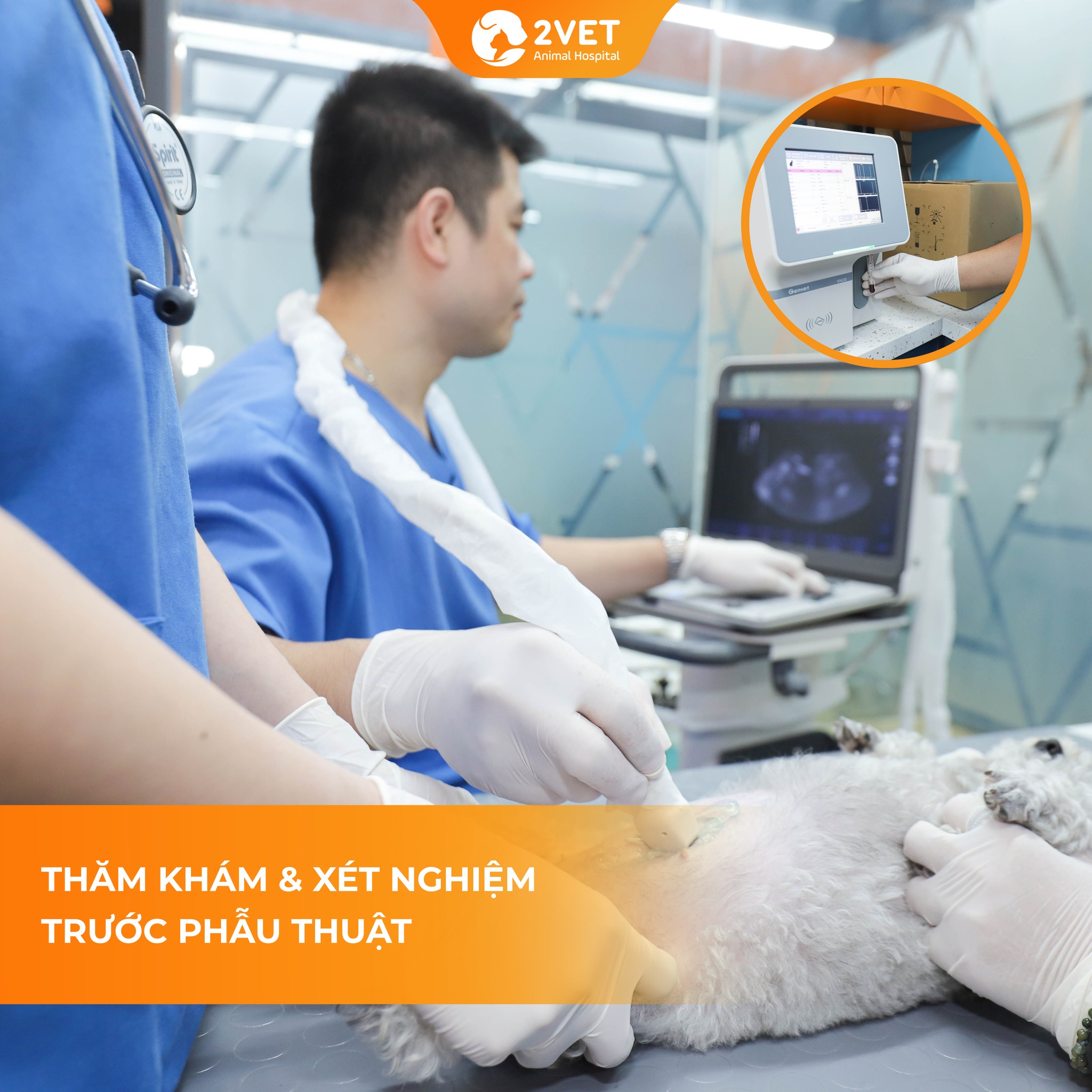 [🆕🇻🇳] Bệnh Viện Thú Y 2VET Long Biên 🐶🦜 Top1Pets 🐱🐠 TRIỆT SẢN AN TOÀN – CHỌN 2VET LONG BIÊN
Nhiều Sen thường lo lắng: “Triệt sản có an toàn không? Liệu Boss có gặp rủi ro?”
Tại 2Vet Long Biên, mỗi ca triệt  , shares-1✔️ , likes-1❤️️ , date-2025-11-25 21:22:08🐶🐱🇻🇳🇻🇳🇻🇳📰🆕