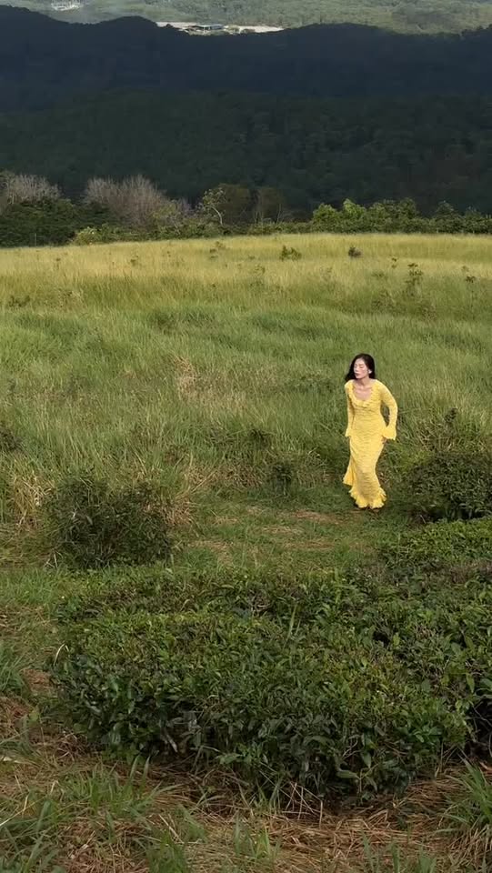 [🆕🇻🇳] LEM.  👕 Top1Fashion 👗  AURE Collection/2026
#localbrandvietnam , shares-0✔️ , likes-9❤️️ , date-2025-12-06 15:31:53🇻🇳🇻🇳🇻🇳📰🆕