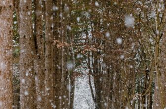 [🆕🇻🇳] Checkin và Du lịch Hàn Quốc – Korea Travel ♥️️ Top1Checkin ☑  Khung cảnh quá đỗi hữu tình của đảo Nami khi đông sang!
#focus_asia_travel #du_lịch_tiêu_điểm_á_châu
#dịch_vụ_visa_hàn_quốc #tour_du_lịch_hàn_quốc
#tour_d , shares-1✔️ , likes-5❤️️ , date-2025-11-25 17:07:59🇻🇳🇻🇳🇻🇳📰🆕