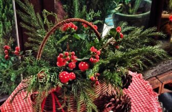 [☕️🇻🇳] NAM house 🥤 Top1Coffee ☕️ xin chào Tháng Mười Hai
tháng của mùa gió se lạnh
của mùa Noel ấm áp sum vầy
của một mùa đẹp nhất trong năm …

___________
NAM , shares-0✔️ , likes-25❤️️ , date-2025-12-01 21:26:33🇻🇳🇻🇳🇻🇳📰🆕